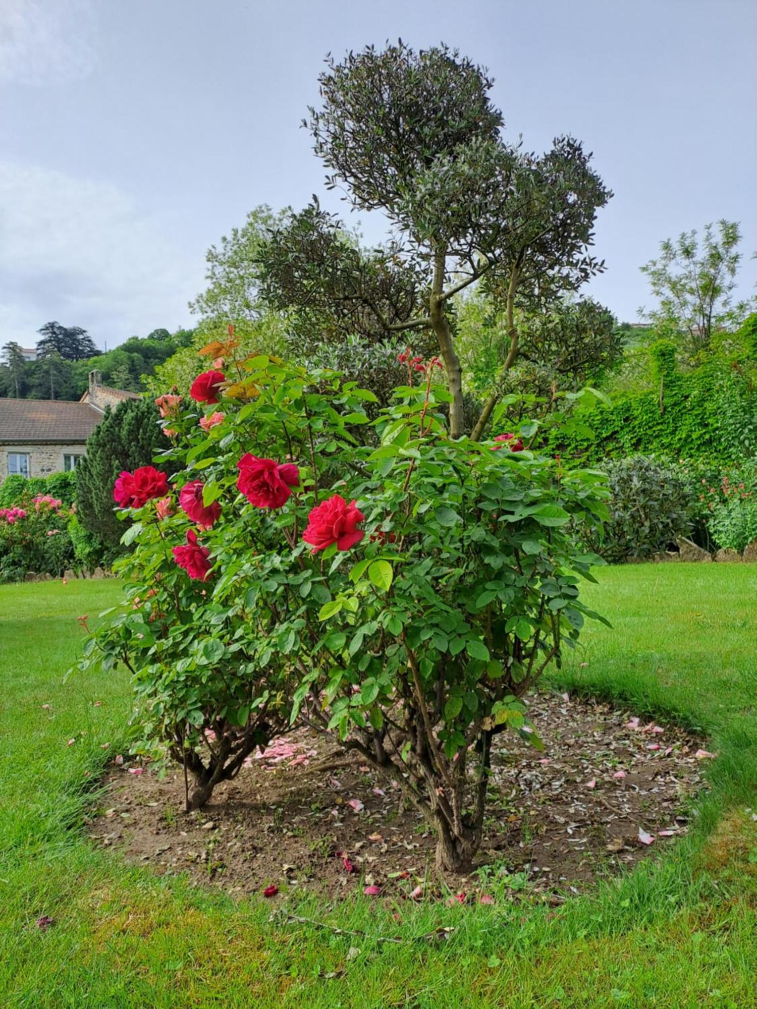 Gite 3 "Le Canal De Baza" Aux Magnolias Aubenas Exterior photo